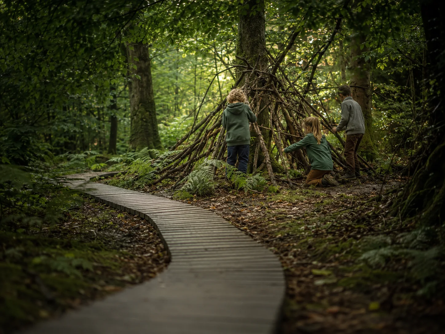 A woodland walkway passing children building a den