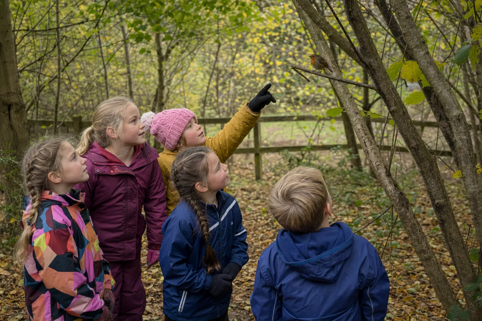 Children quietly observing a robin