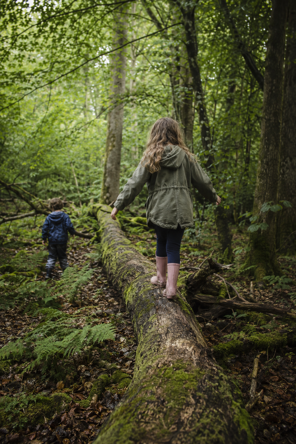 Two children balancing on a fallen tree in a woodland